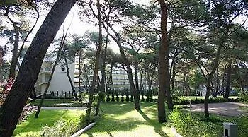 Nicotel Pineto فندق