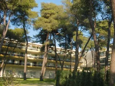 Nicotel Pineto Hotel 4*